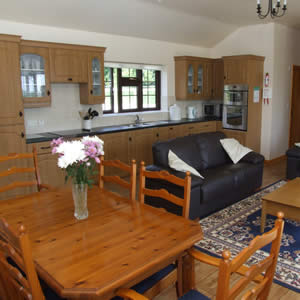 Kitchen and dining room area